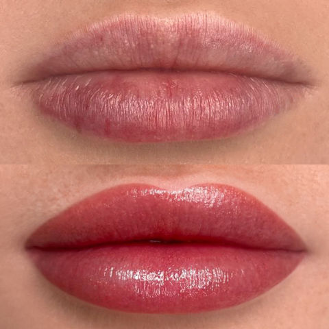 Courtney Cosmetica Cosmetic Tattoo Artist Client Results of Lip Blushing