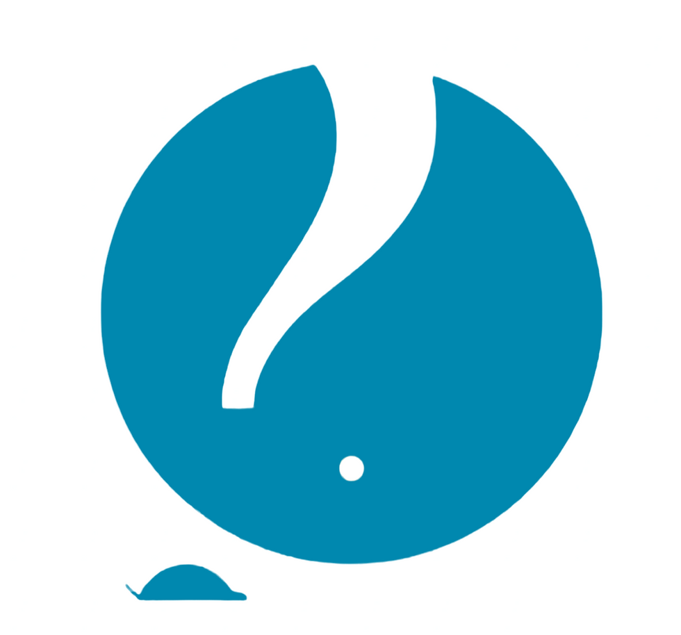 Diyaaviation Logo.png