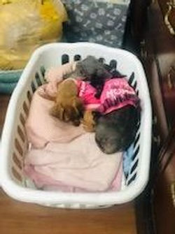 amire and chloe_edited