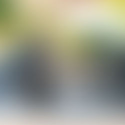 The Distinguished Gentleman's Ride: El paseo de motocicletas vintage mundial vuelve a Neuquén