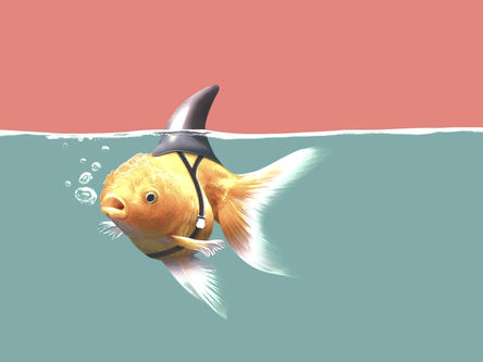 KI Content - mehr Schein als Sein - oder der Gamechanger für Dein Copywriting?