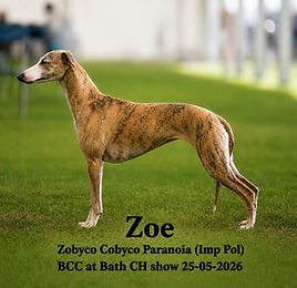 cobyco Zola CC Bath.jfif