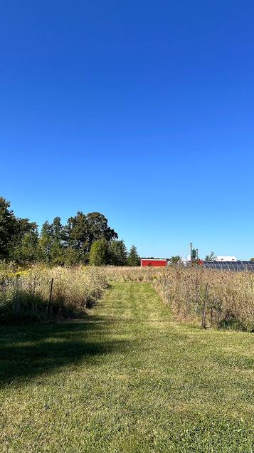 view on a field, located in Sherkston, Ontario