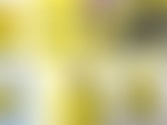 STS satsar globalt – med uppdaterat varumärke