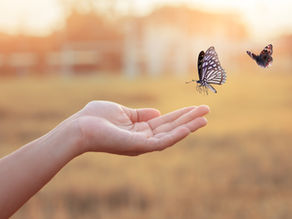 Human-Centered Leadership in an Era of Complexity: An Imperative, Not a Trend