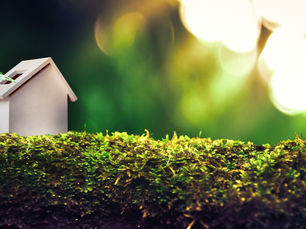 Small white wooden house placed on green moss, next to a young sprout, symbolizing an eco-friendly home in harmony with nature