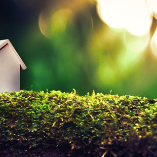 Petite maison blanche en bois posée sur de la mousse verte, à côté d’une jeune pousse, symbolisant une habitation écologique en harmonie avec la nature.