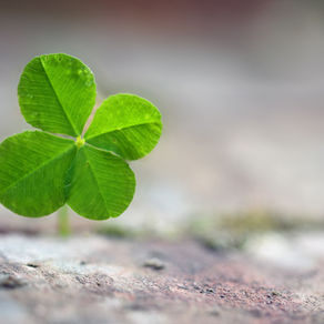 A young green sprout emerging from hard, granular soil, symbolizing fragility, resilience, and the possibility of growth despite an unfavourable environment.