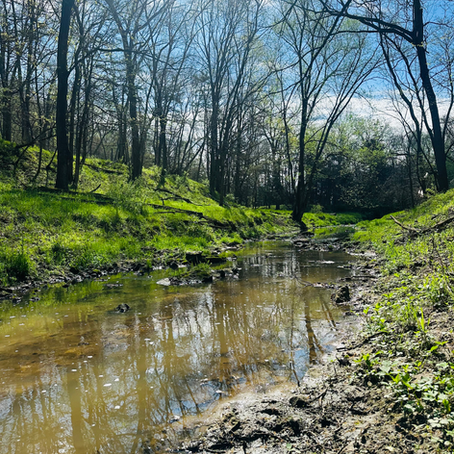 Efforts to Mitigate Pollution from the Maquoketa River Area