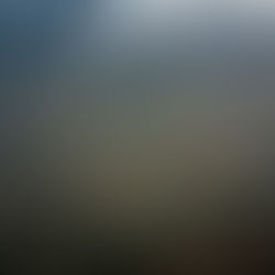 Preventing Run-off: Sustainable Solutions for Farmland Restoration