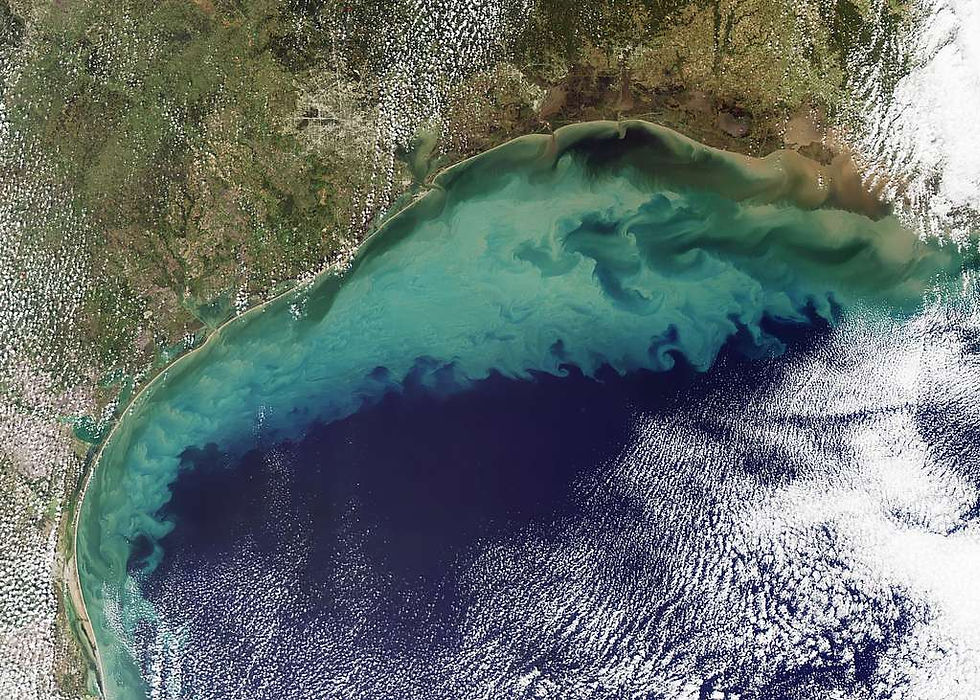 The Dead Zone in the Gulf of Mexico, Photo by Picryl