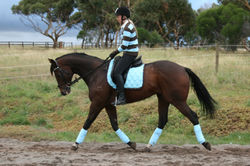 Candela Nel Vento - sold by TLPH