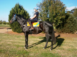 Emily and the stunning 'Dissolved'