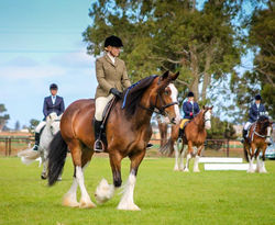 Nell at the National Champs