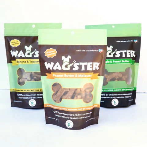 wagster.webp