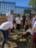 ecology project in school