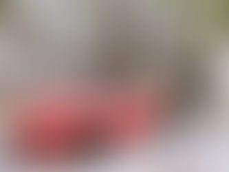 Is R/C a good gift?