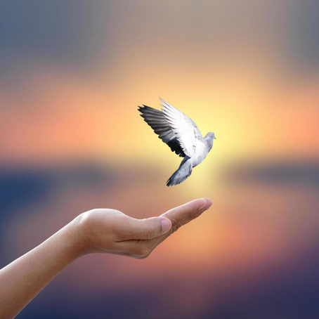 Only the Free Can Liberate