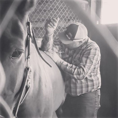 Taking Care of a Horse/ Athlete one at a Time