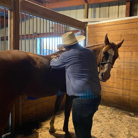 Why use Equine Massage??