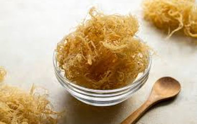 irish sea moss.jpg