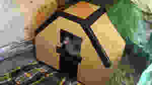 The Barbie house that Bob built