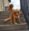20231210_142240.jpg