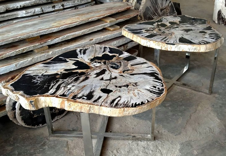 Petrified Wood Slab Coffee Table