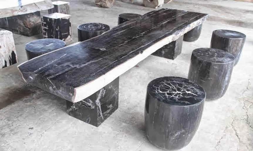 Black Petrified Wood Table