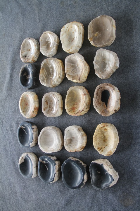 Ashtray Petrified Wood Sculpture