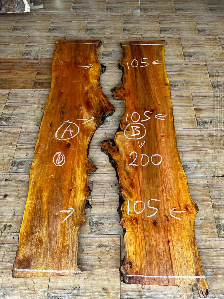 Live Edge Wood Slabs