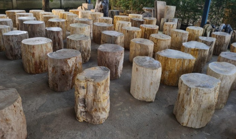 petrified wood stump table