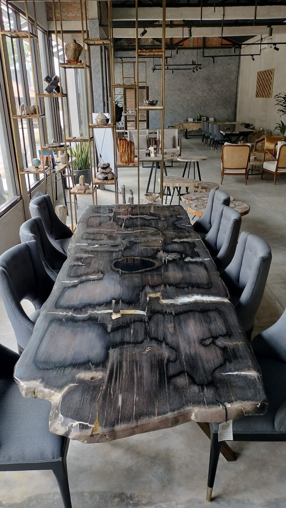 Giant Petrified Wood Slab Dining Table
