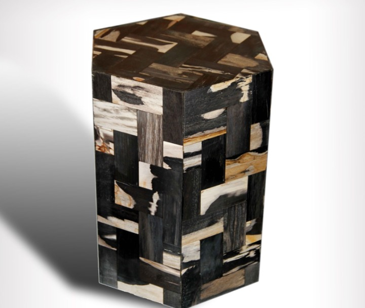 Geometric Petrified Wood Table | IndoGemstone