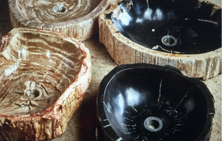 petrified wood sinks