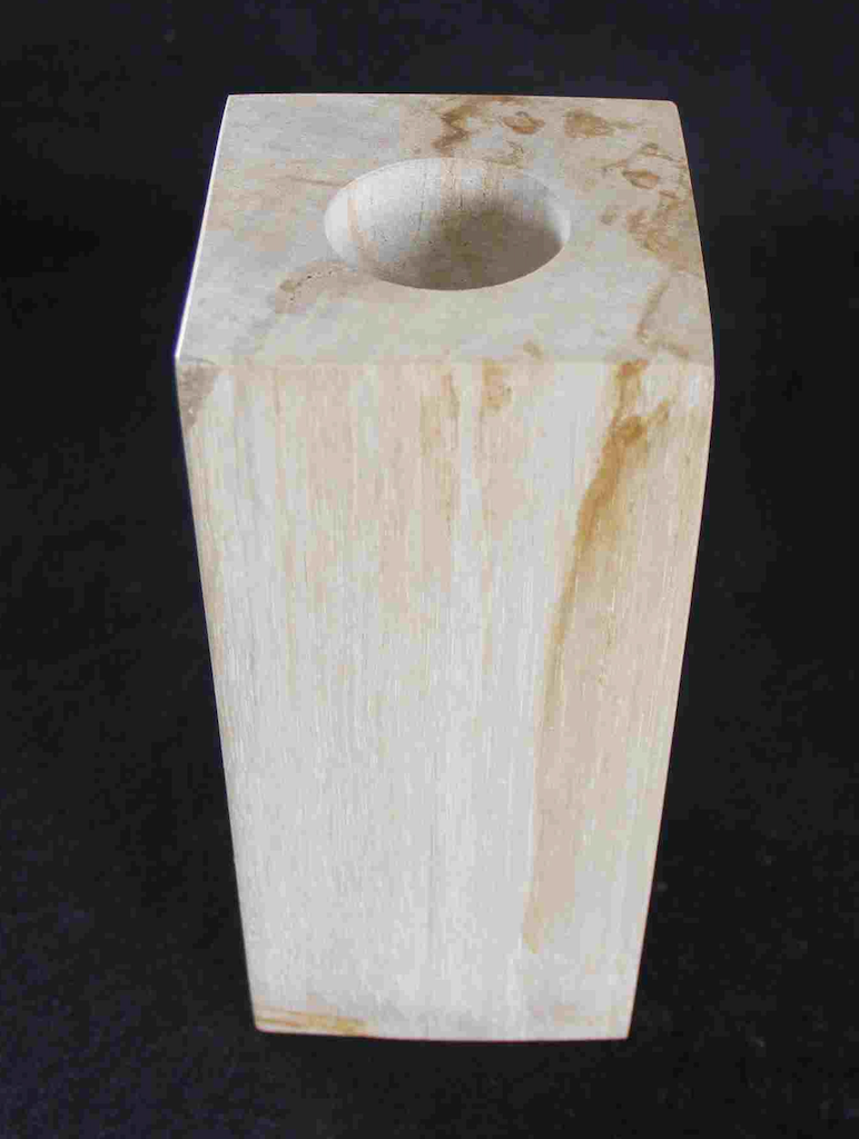 Petrified Wood Candle Holder