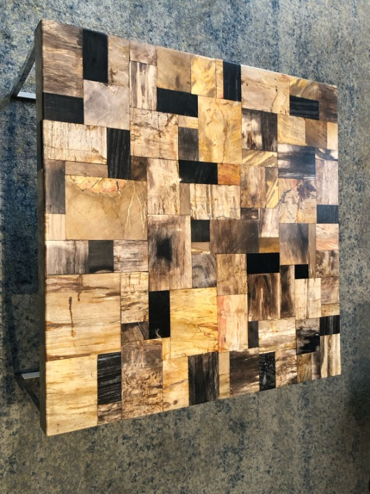 Petrified Wood Mosaic Coffee Table