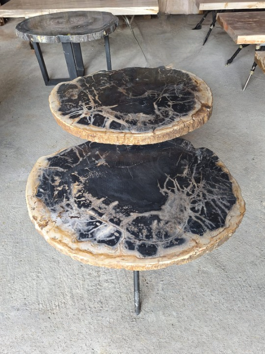 Round Petrified Wood Nesting Tables