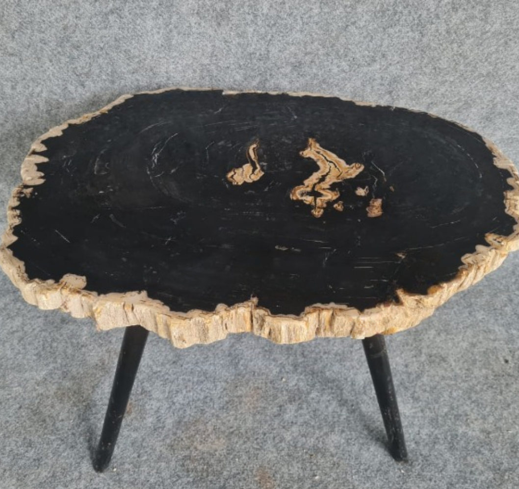 Black Petrified Wood Slab Table