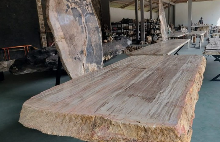 petrified wood tabletop