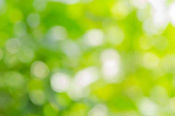 eb20a9e48b2d946060e8a40dc077cf60.jpg