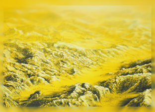 tableau peinture dessin artiste français Grand Est Troyes Hérault Montpellier figuratif animalier acrylique aérographe Keucra chimère vivant hybride imaginaire fantastique science-fiction