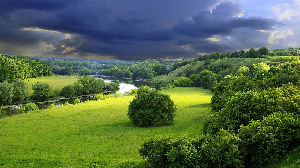 Landscape-Green-1920x1080