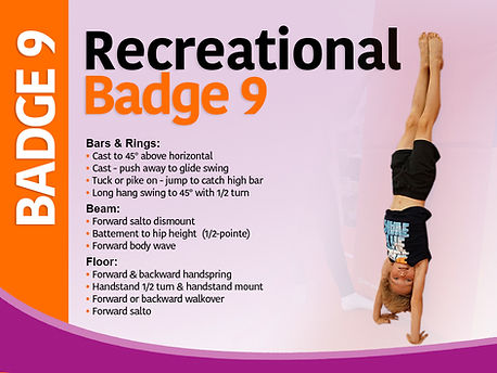 Badge 9.jpg