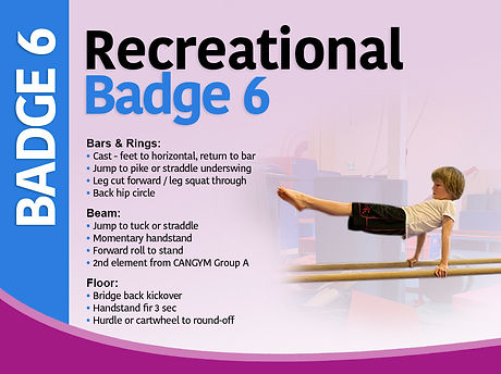 Badge 6.jpg