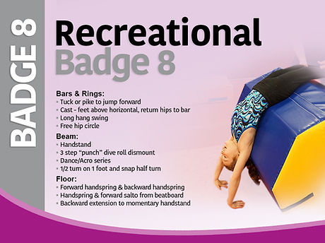 Badge 8.jpg