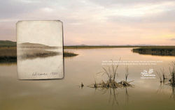 The Nature Conservancy