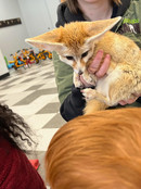 Guest educator showing children an animal.