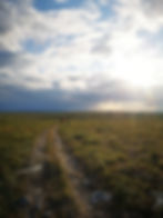 IMG_20210806_185722