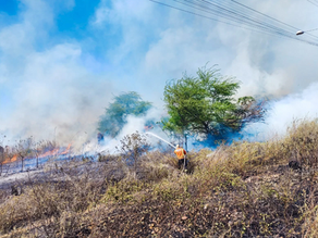 RN sanciona plano para combater queimadas e proteger o meio ambiente